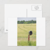 Postbus land briefkaart (Voorkant / Achterkant)