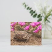 Postcard Briefkaart (Staand voorkant)