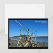 Postcard Briefkaart (Voorkant / Achterkant)