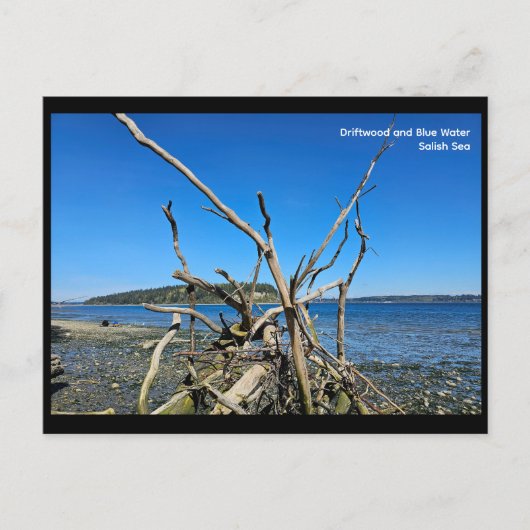 Postcard Briefkaart (Voorkant)