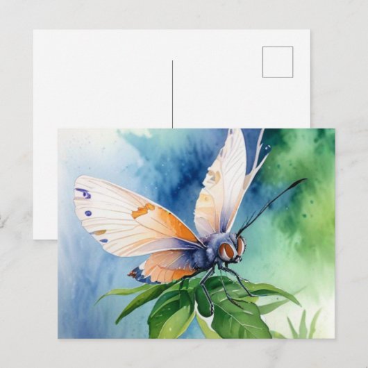 Postcard Briefkaart (Voorkant / Achterkant)