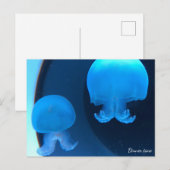 Postcard Briefkaart (Voorkant / Achterkant)