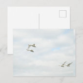 Postcard Briefkaart (Voorkant / Achterkant)