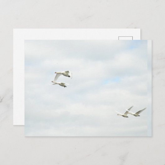 Postcard Briefkaart (Voorkant / Achterkant)