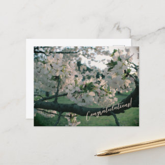 PostCard Congratulations! Feestdagenkaart