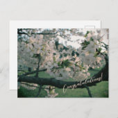 PostCard Congratulations! Feestdagenkaart (Voorkant / Achterkant)