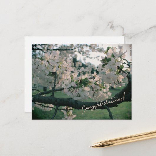 PostCard Congratulations! Feestdagenkaart (Voorkant / Achterkant in situ)