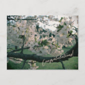 PostCard Congratulations! Feestdagenkaart (Voorkant)