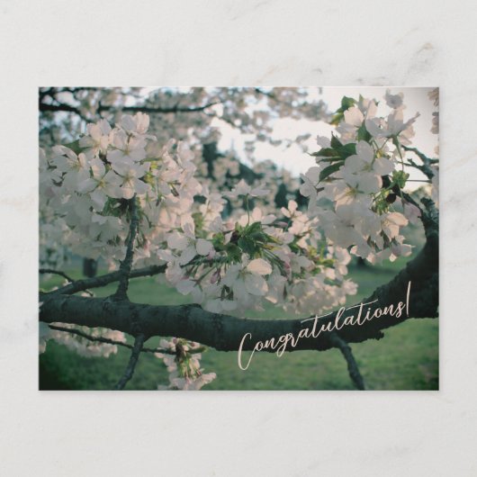 PostCard Congratulations! Feestdagenkaart (Voorkant)