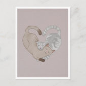 Postcard - Cute Cat Briefkaart (Voorkant)