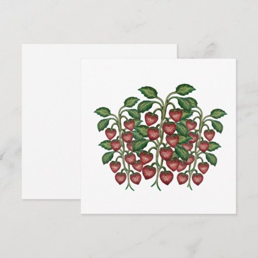 Postcard Feestdagenkaart (Voorkant / Achterkant)