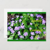 Postcard for Spring Briefkaart (Voorkant / Achterkant)