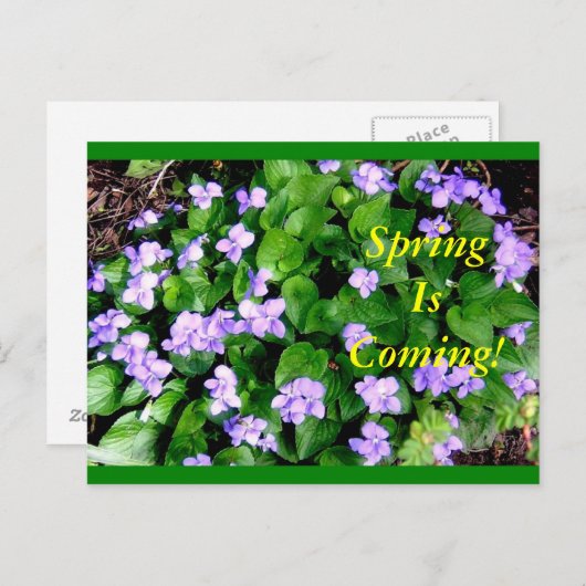 Postcard for Spring Briefkaart (Voorkant / Achterkant)