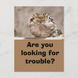 Postcard Humor Echse schaut herausfordernd hervor Briefkaart