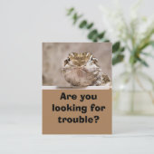 Postcard Humor Echse schaut herausfordernd hervor Briefkaart (Staand voorkant)