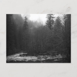 Postcard - Misty Salmon River, Oregon Briefkaart