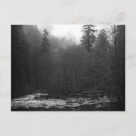 Postcard - Misty Salmon River, Oregon Briefkaart