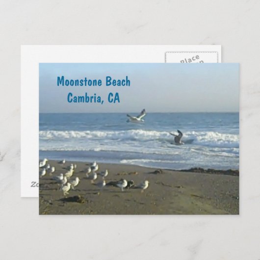 Postcard: Moonstone Beach, Cambria, C Briefkaart (Voorkant / Achterkant)