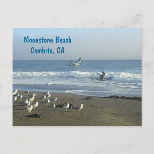 Postcard: Moonstone Beach, Cambria, C Briefkaart (Voorkant)