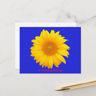 Postcard Postkarte Sonnenblume Liebe Grüße Briefkaart