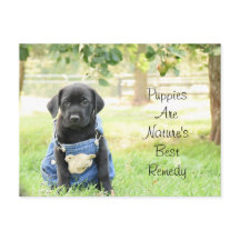 Postcard Puppies zijn de beste remedie van de natu