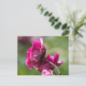 Postcard Roos - Magenta Gratie Briefkaart (Staand voorkant)