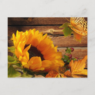 Postcard, Rustic Country Fall Sunflower Butterfly Briefkaart
