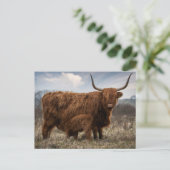 Postcard Schotse Hooglander met kalf Briefkaart (Staand voorkant)