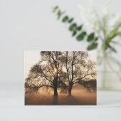 Postcard, Tree Briefkaart (Staand voorkant)