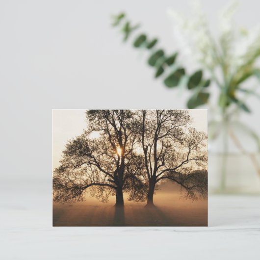 Postcard, Tree Briefkaart (Staand voorkant)