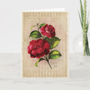 Postcard Vintage Collection-Vol.3 - Greeting Card Kaart