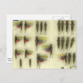 Postcard with Grasshoppers Briefkaart (Voorkant / Achterkant)