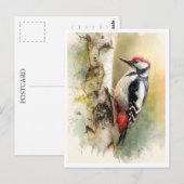 Postcard. Woodpecker Briefkaart (Voorkant / Achterkant)