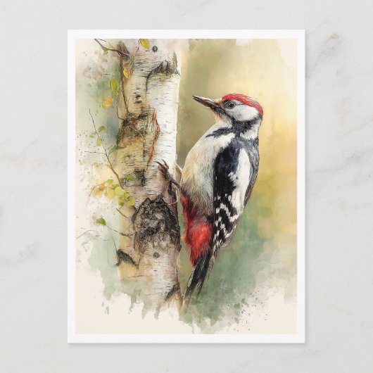 Postcard. Woodpecker Briefkaart (Voorkant)
