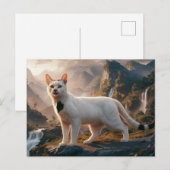 Postcards  Cat  Série 11 06 Briefkaart (Voorkant / Achterkant)