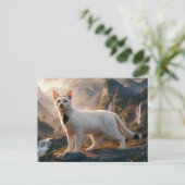 Postcards  Cat  Série 11 06 Briefkaart (Staand voorkant)