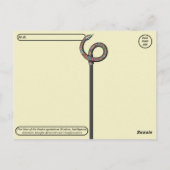 Postcrossing 2025 Jaar van de Slang Briefkaart (Achterkant)