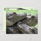 Postcrossing - Alligator Party Briefkaart (Voorkant / Achterkant)