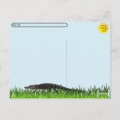 Postcrossing - Alligator Party Briefkaart (Achterkant)
