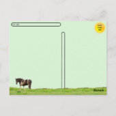 Postcrossing - Amerikaans geschilderd paard in een Briefkaart (Achterkant)