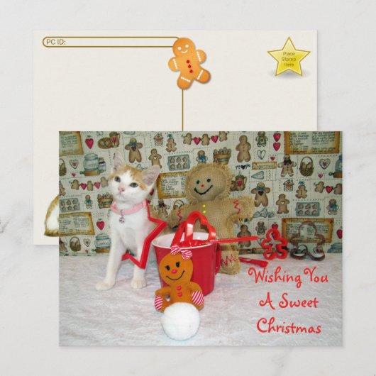 Postcrossing - Annie Cat Gingerbread Christmas Briefkaart (Voorkant / Achterkant)