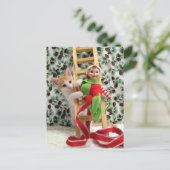 Postcrossing - Annie Het Kitten en de Elf Feestdagenkaart (Staand voorkant)