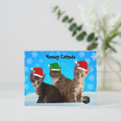 Postcrossing -Annie, Taz en Tito - Kattenkerst Feestdagenkaart (Staand voorkant)