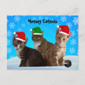 Postcrossing -Annie, Taz en Tito - Kattenkerst Feestdagenkaart (Voorkant)