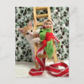 Postcrossing - Annie The Kitten and the Elf  Feestdagenkaart (Voorkant)