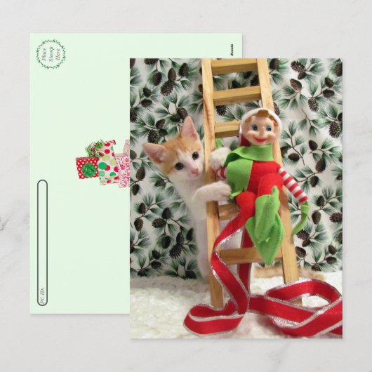 Postcrossing - Annie The Kitten and the Elf  Feestdagenkaart (Voorkant / Achterkant)