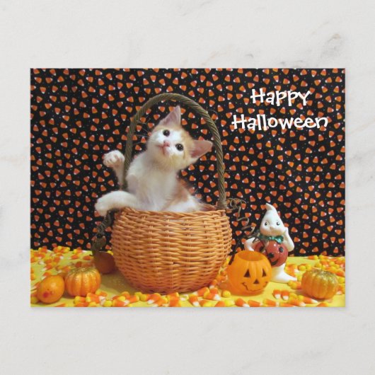 Postcrossing Annie's nieuwsgierige Halloween kat Briefkaart (Voorkant)