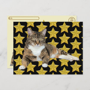 Postcrossing - Annie's Star: Kat Briefkaart