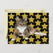 Postcrossing - Annie's Star: Kat Briefkaart (Voorkant / Achterkant)
