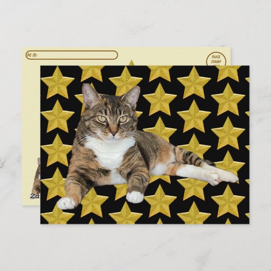 Postcrossing - Annie's Star: Kat Briefkaart (Voorkant / Achterkant)